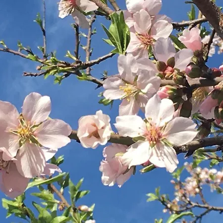 Apartament & Relax Port de Pollença