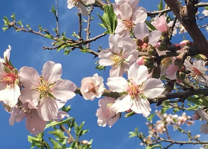 Apartmán & Relax Port de Pollença